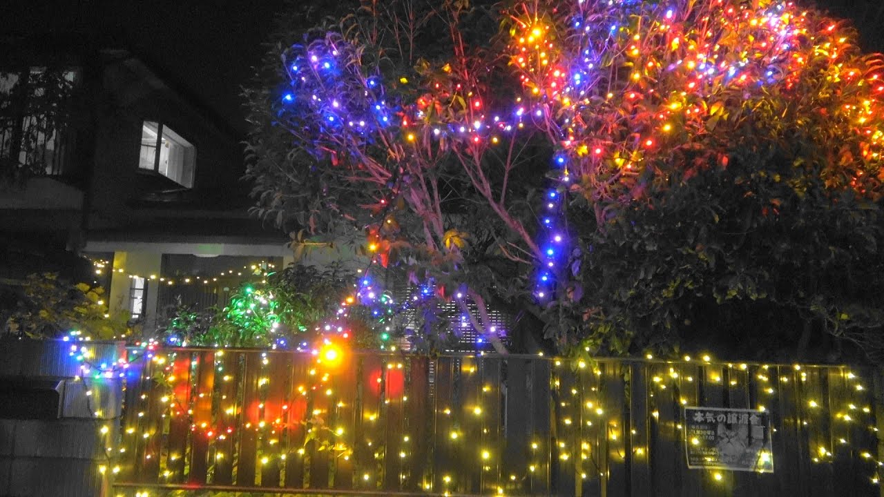 out       Natural  Xmas✩⡱灯りのともるキリカブhouse out Natural Xmas✩⡱灯りのともるキリカブhouse