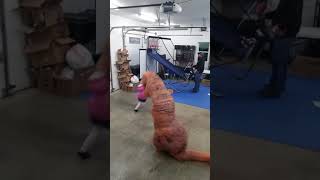 Dinosaur antics