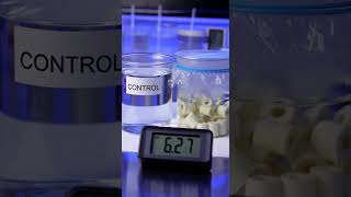 Do Ceramic Rings Change Water Quality?  #aquarium #aquariumfilter