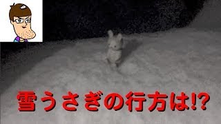 【20年ぶりの大雪】雪うさぎの行方は！？