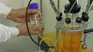 MINIFOR fermentor montage next cut a12