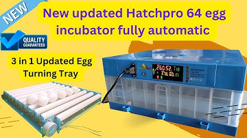 New Updated Hatchpro 64 egg incubator fully automatic | how to use and maintain humidity | Low price