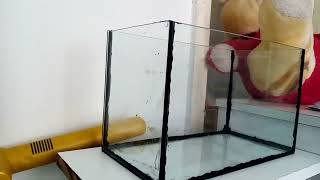 kardeşime akvaryum sürprizi