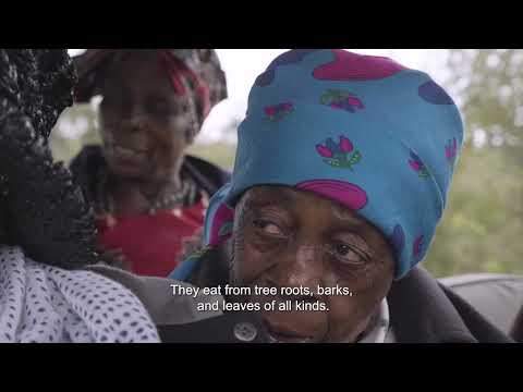 Ndlopfu Gogos - S11 EP6