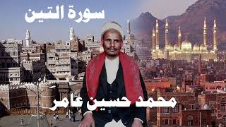 محمد حسين عامر سورة التين