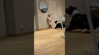 Precious Girl Rewards Dog with Treats for Performing Tricks