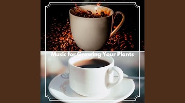 Carefree Moods for Forgetting Today