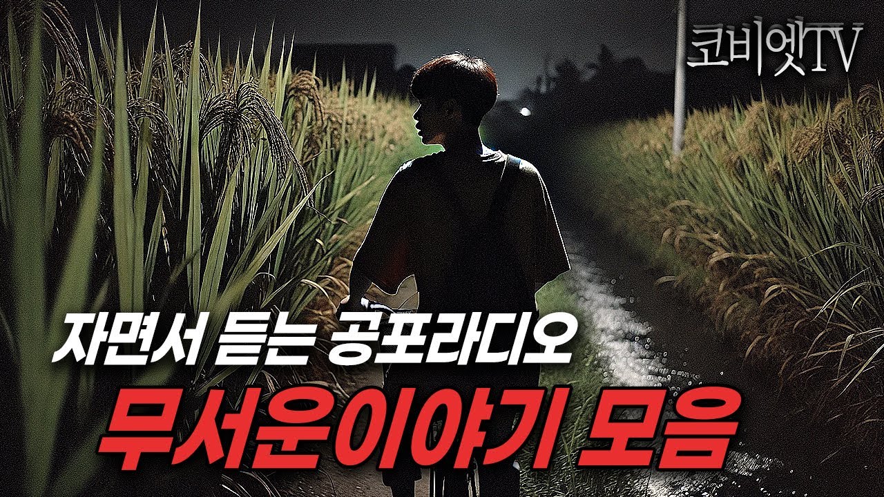 자면서 듣는 실제로 있었던 공포실화 2시간 모음｜무서운이야기 실화｜불면증｜공포라디오｜공포썰｜ASMR｜코비엣TV