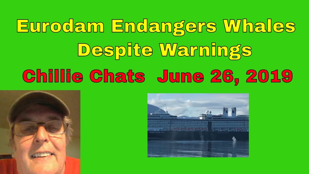 Eurodam Endangers Whales Despite Warnings