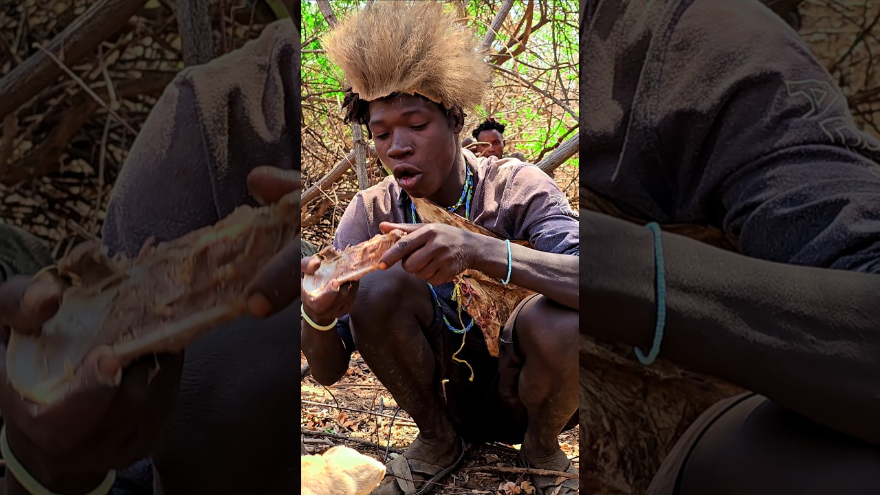 Hadzabe Tribe Eating Hunt ll 