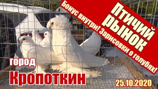 Птичий рынок - Кропоткин [25.10.2020]. Голуби - Ленинградская.