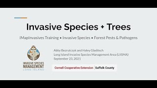 iMapInvasives for Arborists