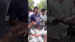 কলকত কবতর হট 12.10.2025 Kolkata Pigeon Market Galiff Street Biggest Kabootar Market Kolkata