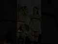 Jennie Gets Shy Under Jisoo S Gaze Blackpink 