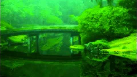 ما تيسر من سورة الحديد بصوت خاشع و مميز جدا