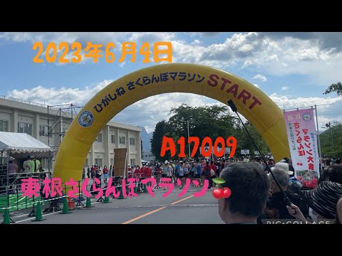 2023年06月04日 東根さくらんぼマラソン 　ビブスNo17009
