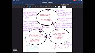4 Part Processing Model Using Jam