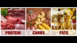 What Are Macros? How Do I Track Macros?