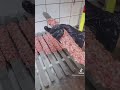 الكباب العراقي في هولندا