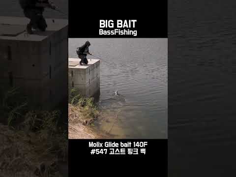 빅베이트 배스낚시! 배스가 쉘로우에 없으면?!