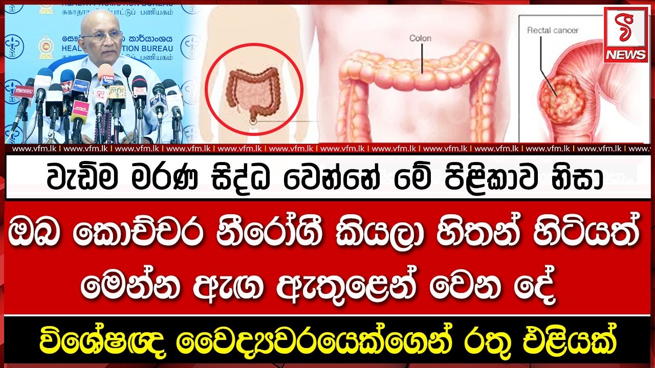 වැඩිම මරණ සිද්ධ වෙන්නේ මේ පිළිකාව නිසා