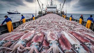 O Auge da Pesca na Coreia do Sul – 3.450 Toneladas de Frutos do Mar Capturados Todos os Dias