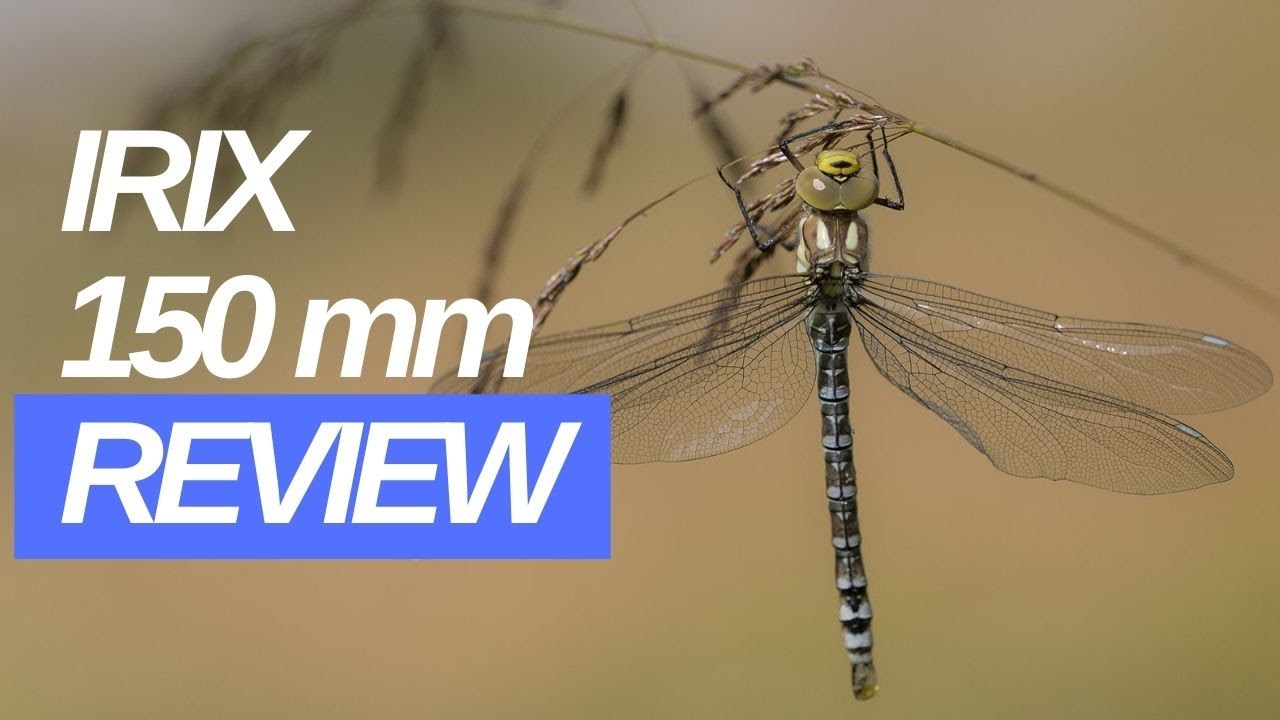 Gear Review; The IRIX 150 mm Macro lens
