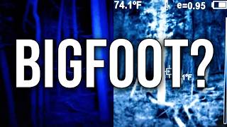 National forest bigfoot night hunt.
