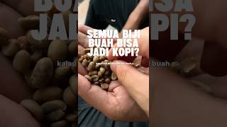 Apakah semua biji buah bisa jadi kopi? ini jawabannya! #bijikopi #coffeebeans #ottencoffee