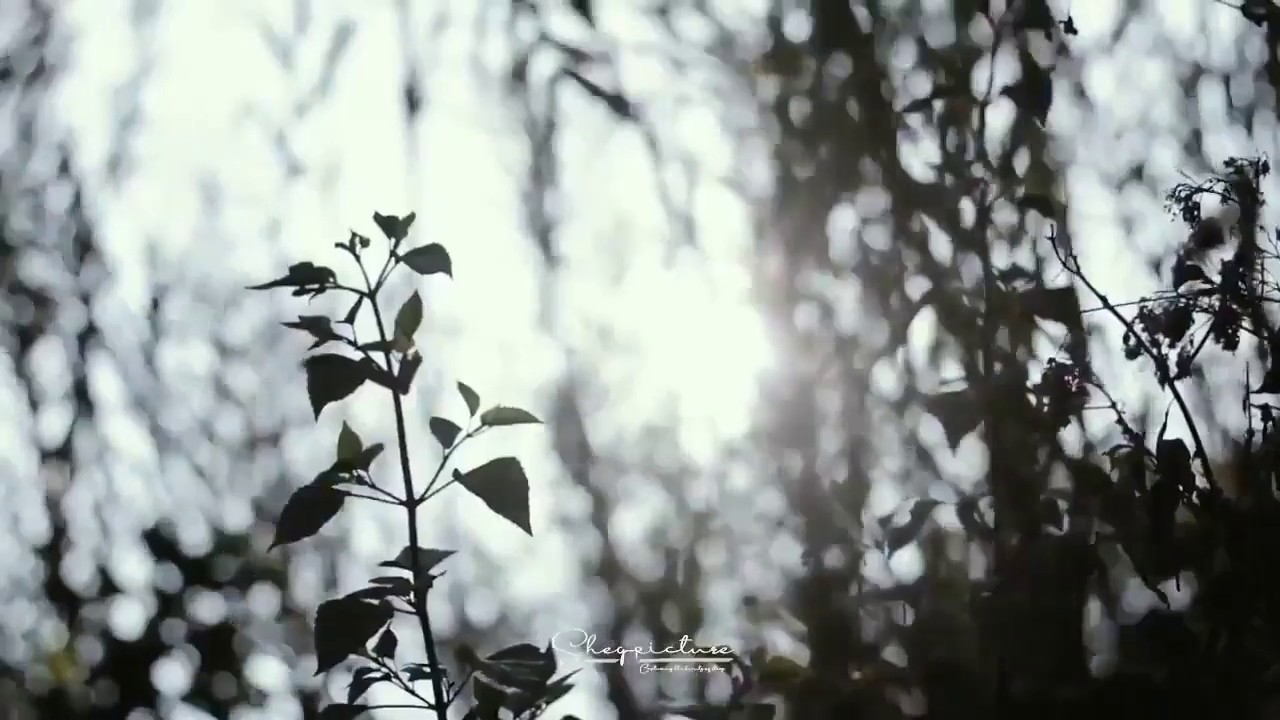 PREWEDDING OUTDOOR RANCAUPAS !! | WO BANDUNG - DOKTER WEDDINGS |