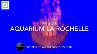 Aquarium La Rochelle, France | Virtual travel by allthegoodies.com
