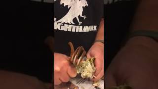 Andys crab picking lesson