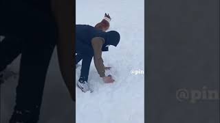 Corgi too smart to be bamboozled
