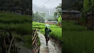 Download Lagu Abah pulang kerja kehujanan #shortvideo #suasanayangindah MP3 Download Lagu Abah pulang kerja kehujanan #shortvideo #suasanayangindah MP3