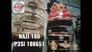 Usia 45 Hari Ujung Msh Blom Kluar