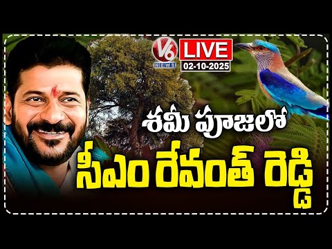 CM Revanth Reddy Live :  Shami Pooja Along With His Grand son At Kondareddypalli | V6 News - V6NEWSTELUGU