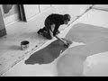 Chapter 12 - Frankenthaler: Towards A New Climate (1978)