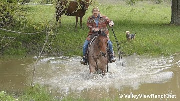 Blues Playgun - trail riding through water! - ValleyViewRanch.net
