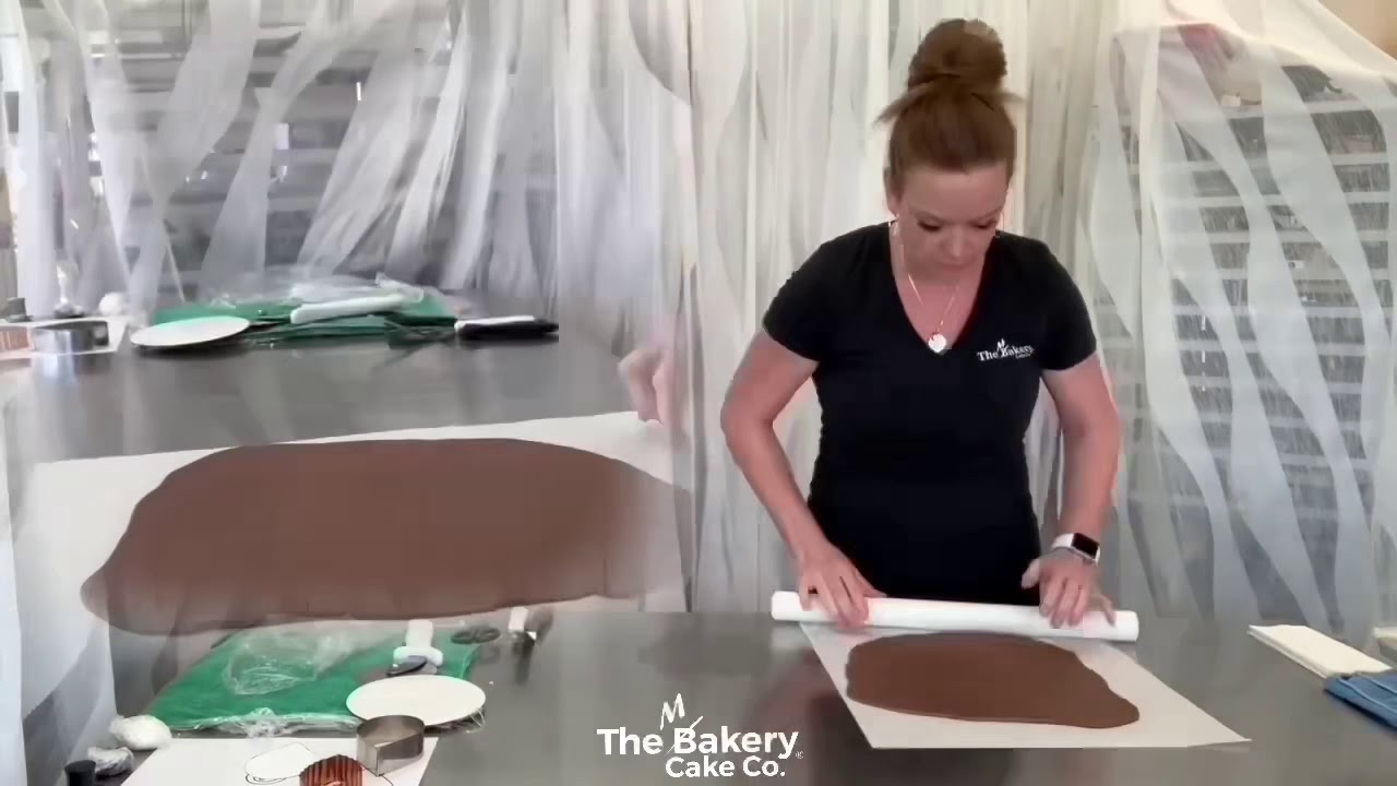 Turkey cake tutorial with a kit preview video