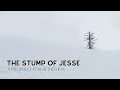 The stump of jesse