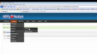 Creating Attribute Groups - SitesNStores Support