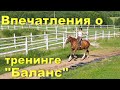 Отзывы учеников о тренинге &quot;Баланс&quot;