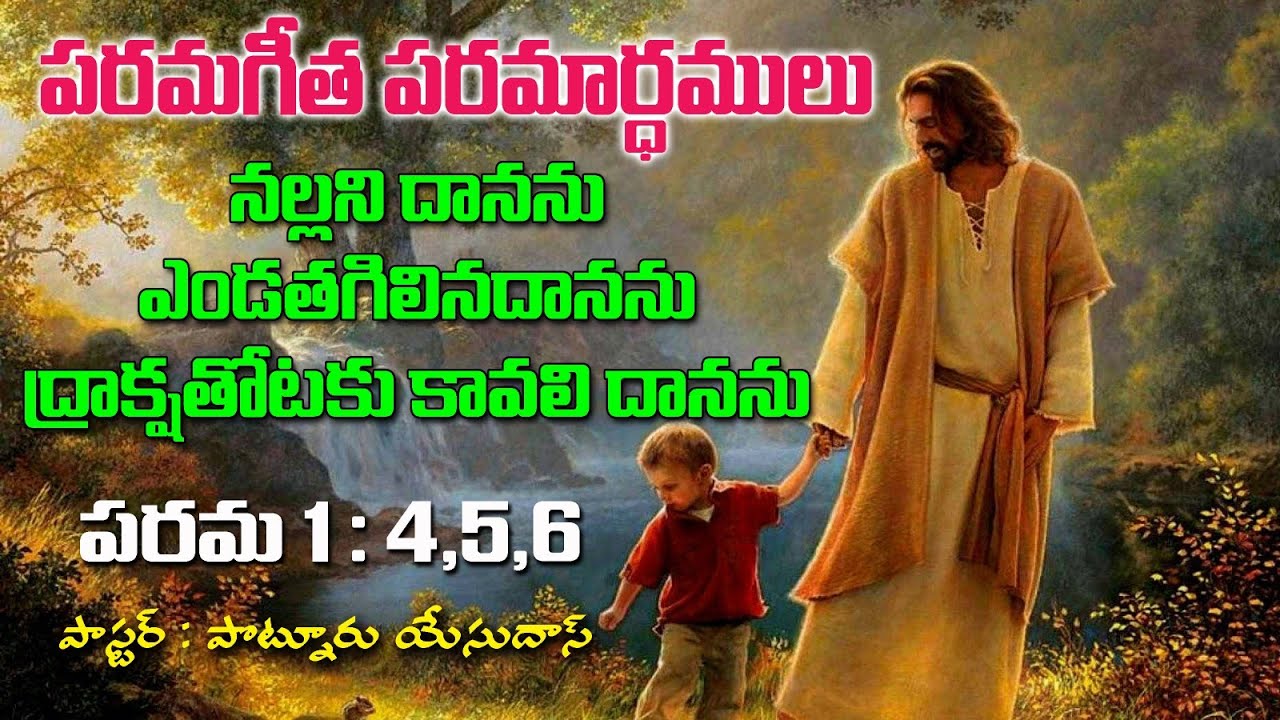 1-4-5-6-song-of-song-1-4-5-6-1st-nov2024-fri-vzm