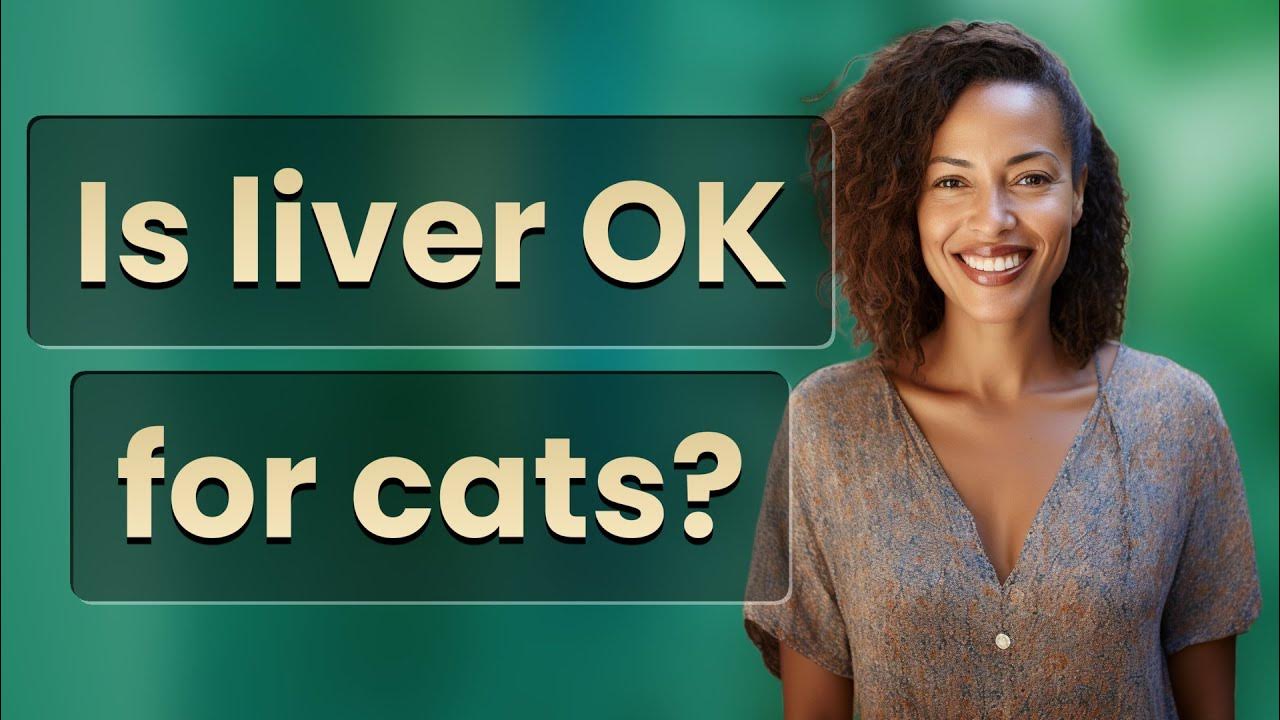 is-liver-ok-for-cats-youtube