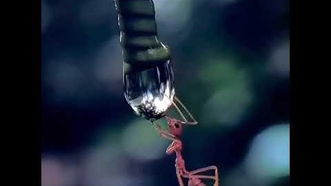 تلاوة هادئ للقارئ إسلام صبحي