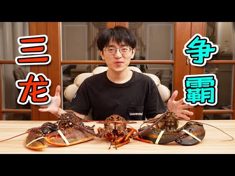 Blind Test of lobsters  ,the prices for them vary widely , is there a big difference on texture ?