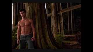 Taylor Lautner VS Robert pattinson