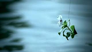 ASIAN KUNG-FU GENERATION - A Flower Named You [Fav part extended for 15 minutes]