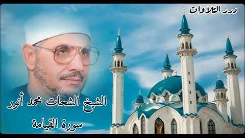 الشيخ الشحات محمد أنور سورة القيامة
