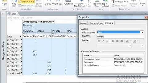 Using Access 2010 - Group and Ungroup PivotTable Content